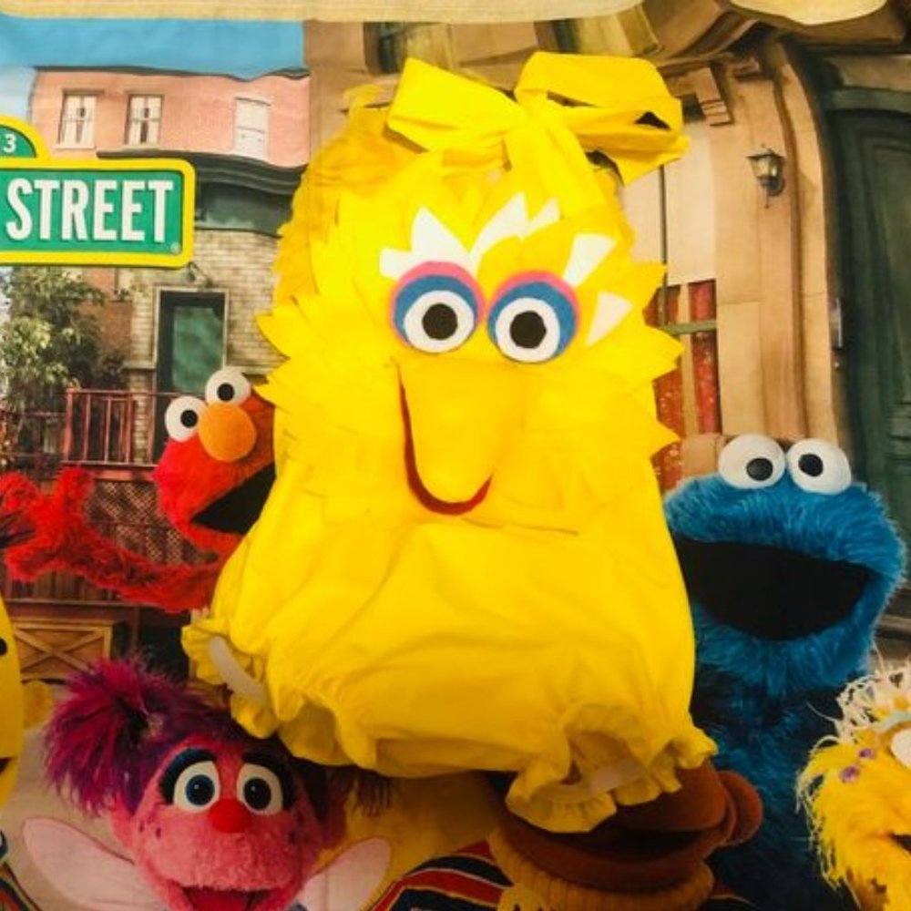 Big Bird Romper